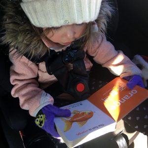 Child reading Colors | 색상 while riding in the car